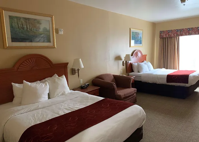 Surestay Plus Hotel By Best Western Mesquite